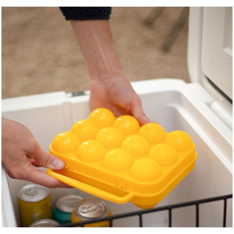 12 Egg Holder, Plastic